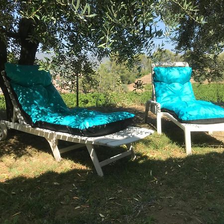 Guesthouse Du Moulin Saint-Cyr-sur-Mer Bagian luar foto