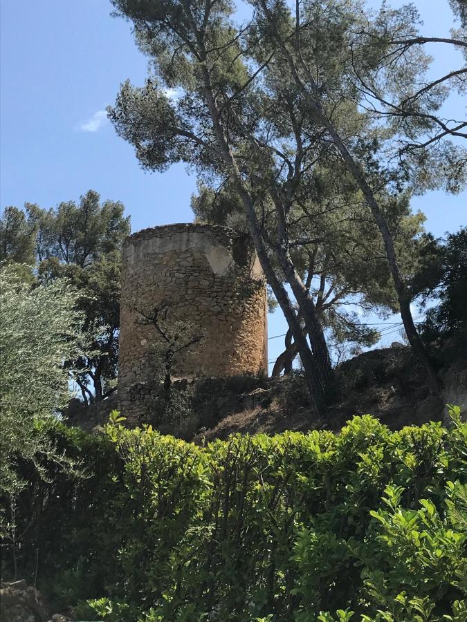Guesthouse Du Moulin Saint-Cyr-sur-Mer Bagian luar foto