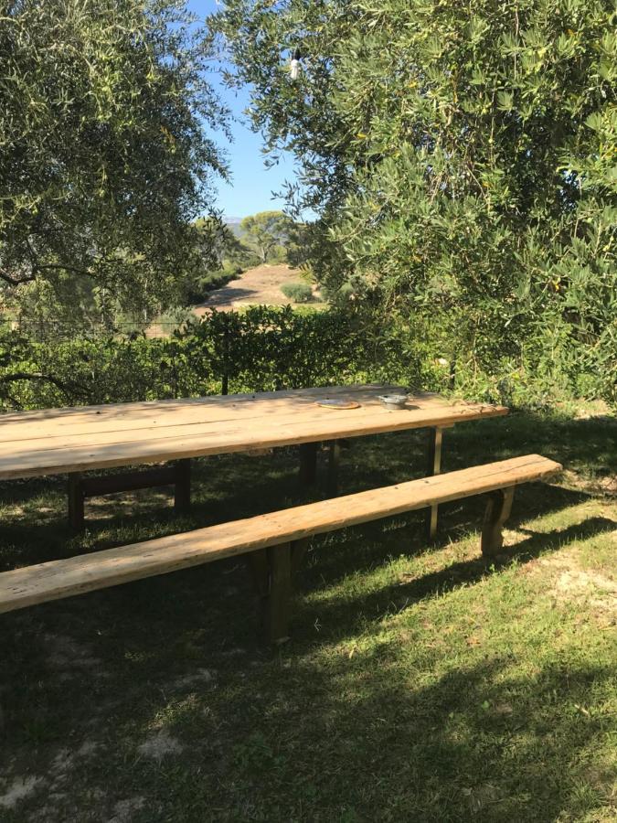 Guesthouse Du Moulin Saint-Cyr-sur-Mer Bagian luar foto