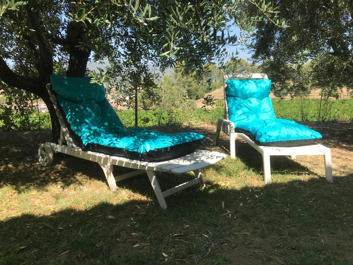 Guesthouse Du Moulin Saint-Cyr-sur-Mer Bagian luar foto